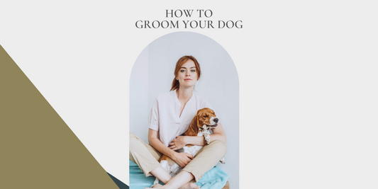 Complete Dog Grooming Guide: Tips & Techniques for Home Care